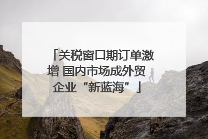 关税窗口期订单激增 国内市场成外贸企业“新蓝海”