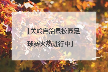 关岭自治县校园足球赛火热进行中