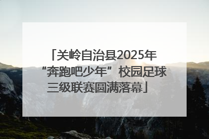 关岭自治县2025年“奔跑吧少年”校园足球三级联赛圆满落幕