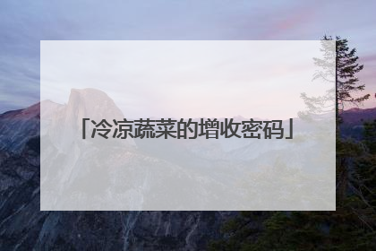 冷凉蔬菜的增收密码