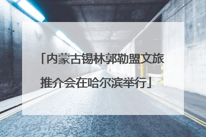 内蒙古锡林郭勒盟文旅推介会在哈尔滨举行