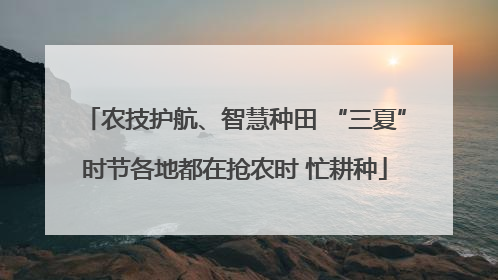 农技护航、智慧种田 “三夏”时节各地都在抢农时 忙耕种
