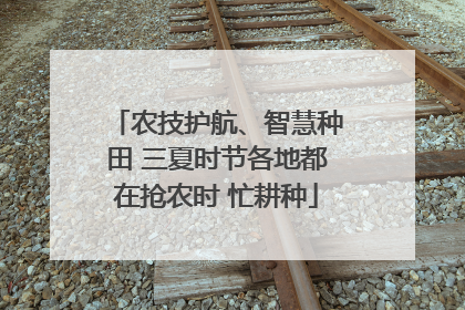 农技护航、智慧种田 三夏时节各地都在抢农时 忙耕种