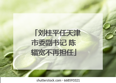 刘桂平任天津市委副书记 陈辐宽不再担任