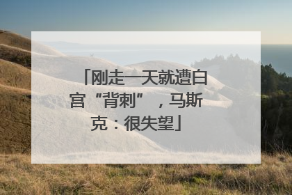刚走一天就遭白宫“背刺”，马斯克：很失望