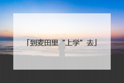 到麦田里“上学”去