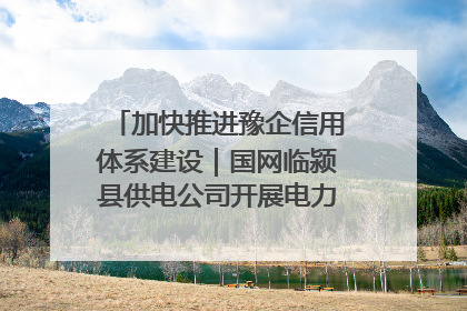 加快推进豫企信用体系建设｜国网临颍县供电公司开展电力行业信用企业现场咨询访谈工作