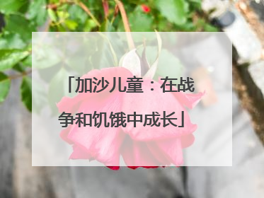 加沙儿童：在战争和饥饿中成长