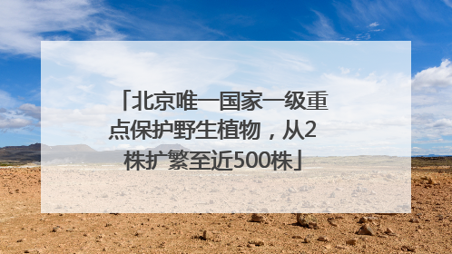北京唯一国家一级重点保护野生植物，从2株扩繁至近500株
