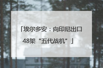埃尔多安：向印尼出口48架“五代战机”