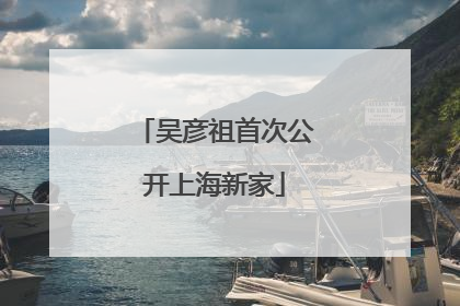 吴彦祖首次公开上海新家