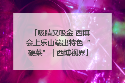 吸睛又吸金 西博会上乐山端出特色“硬菜”｜西博视界
