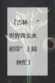 吉林：“世界黄金水稻带”上插秧忙