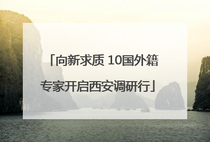 向新求质 10国外籍专家开启西安调研行