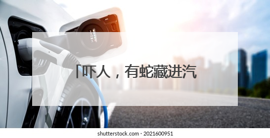 吓人，有蛇藏进汽车引擎盖！北京9天接9起“蛇警”