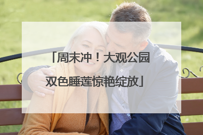 周末冲！大观公园双色睡莲惊艳绽放