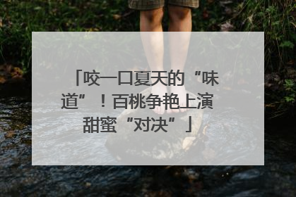 咬一口夏天的“味道”！百桃争艳上演甜蜜“对决”