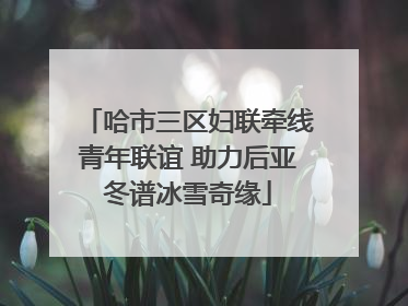 哈市三区妇联牵线青年联谊 助力后亚冬谱冰雪奇缘