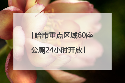 哈市重点区域60座公厕24小时开放