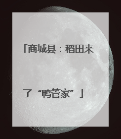 商城县：稻田来了“鸭管家”