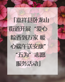 嘉祥县卧龙山街道开展“爱心粽香到万家 暖心端午送安康” “五为”志愿服务活动