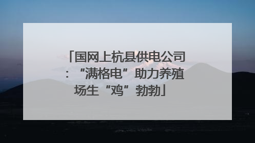 国网上杭县供电公司：“满格电”助力养殖场生“鸡”勃勃