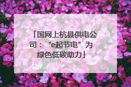 国网上杭县供电公司：“e起节电”为绿色低碳助力