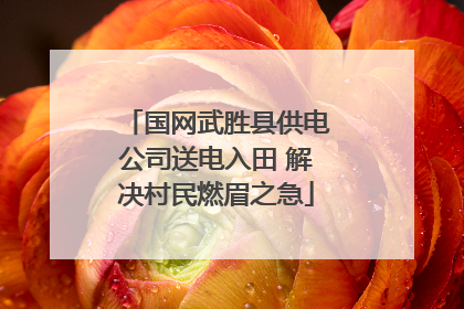 国网武胜县供电公司送电入田 解决村民燃眉之急