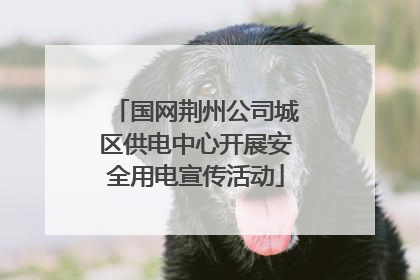 国网荆州公司城区供电中心开展安全用电宣传活动