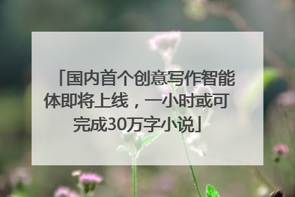 国内首个创意写作智能体即将上线，一小时或可完成30万字小说