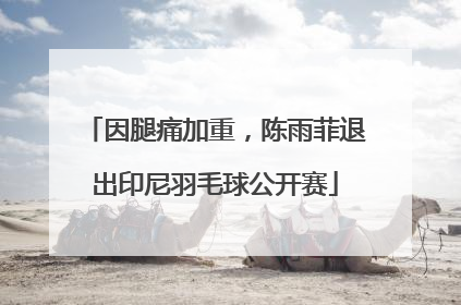 因腿痛加重，陈雨菲退出印尼羽毛球公开赛
