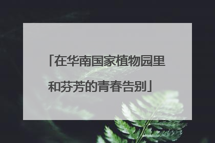在华南国家植物园里和芬芳的青春告别