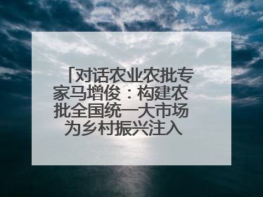 对话农业农批专家马增俊：构建农批全国统一大市场 为乡村振兴注入强劲动力