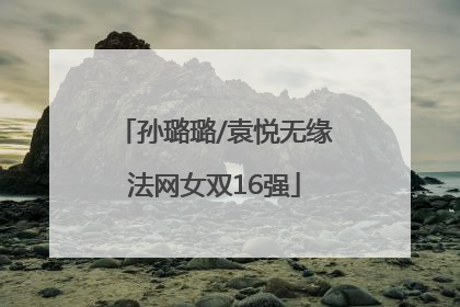 孙璐璐/袁悦无缘法网女双16强
