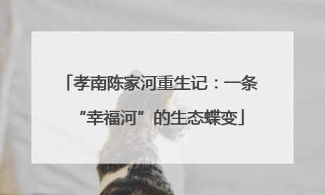 孝南陈家河重生记：一条“幸福河”的生态蝶变