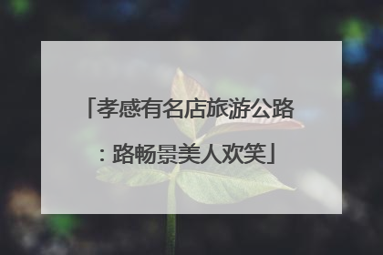 孝感有名店旅游公路：路畅景美人欢笑