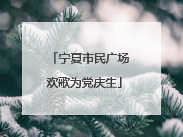 宁夏市民广场欢歌为党庆生