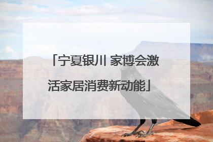 宁夏银川 家博会激活家居消费新动能