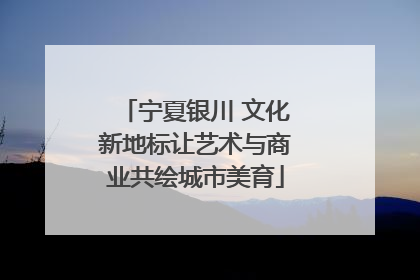 宁夏银川 文化新地标让艺术与商业共绘城市美育