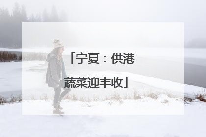 宁夏：供港蔬菜迎丰收