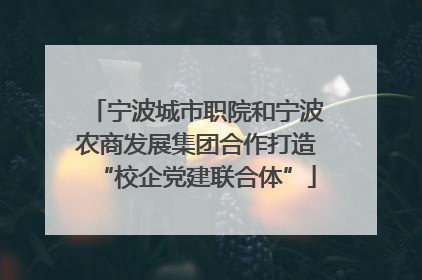 宁波城市职院和宁波农商发展集团合作打造“校企党建联合体”