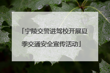 宁陵交警进驾校开展夏季交通安全宣传活动