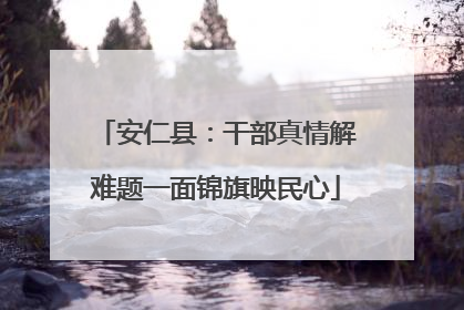 安仁县：干部真情解难题一面锦旗映民心
