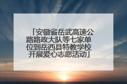 安徽省岳武高速公路路政大队等七家单位到岳西县特教学校开展爱心志愿活动