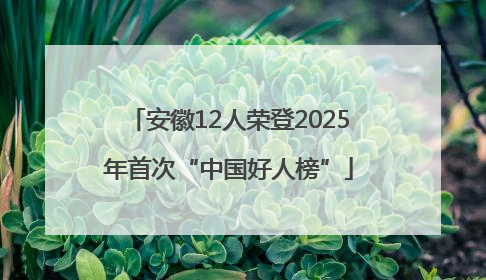 安徽12人荣登2025年首次“中国好人榜”