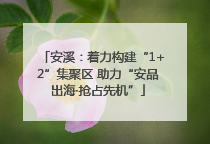 安溪：着力构建“1+2”集聚区 助力“安品出海·抢占先机”