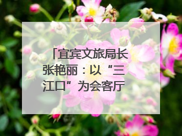 宜宾文旅局长张艳丽：以“三江口”为会客厅，打造近悦远来的国际旅游城市｜文旅局长说