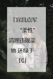 宜昌点军：“柔性”清理违规菜地 还绿于民