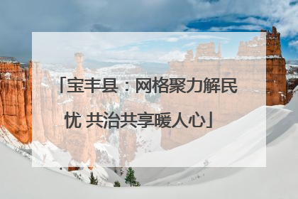 宝丰县：网格聚力解民忧 共治共享暖人心
