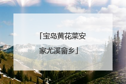 宝岛黄花菜安家尤溪畲乡